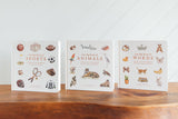 Our Big Book of Animals (Board Book)