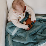 Lush Receiving Blanket- Rosy