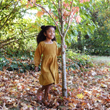 Smocked Dress- Bronze