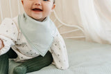 Rex-Bib Set